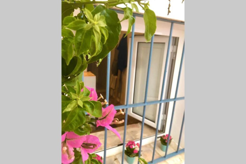 فيلا La Puerta Azul بورنوس المظهر الخارجي الصورة